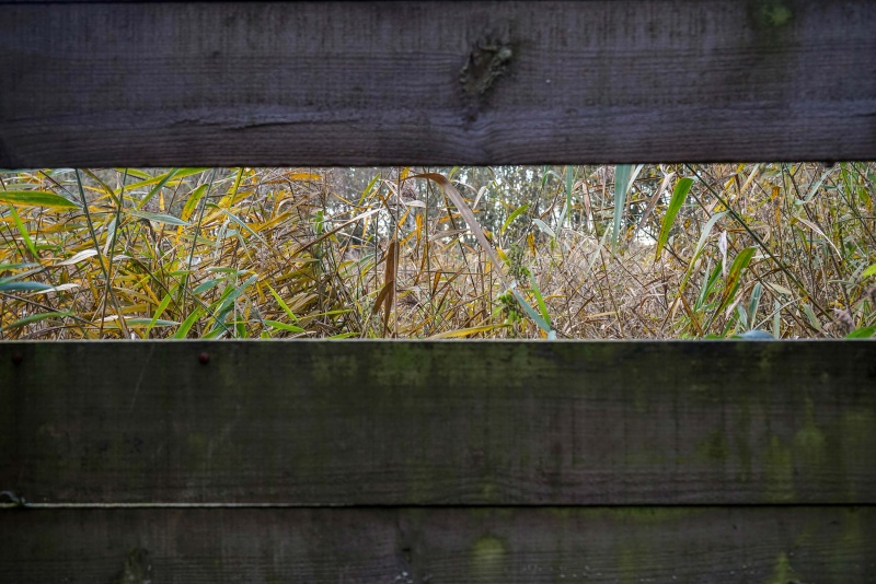 kps architects elvaston castle