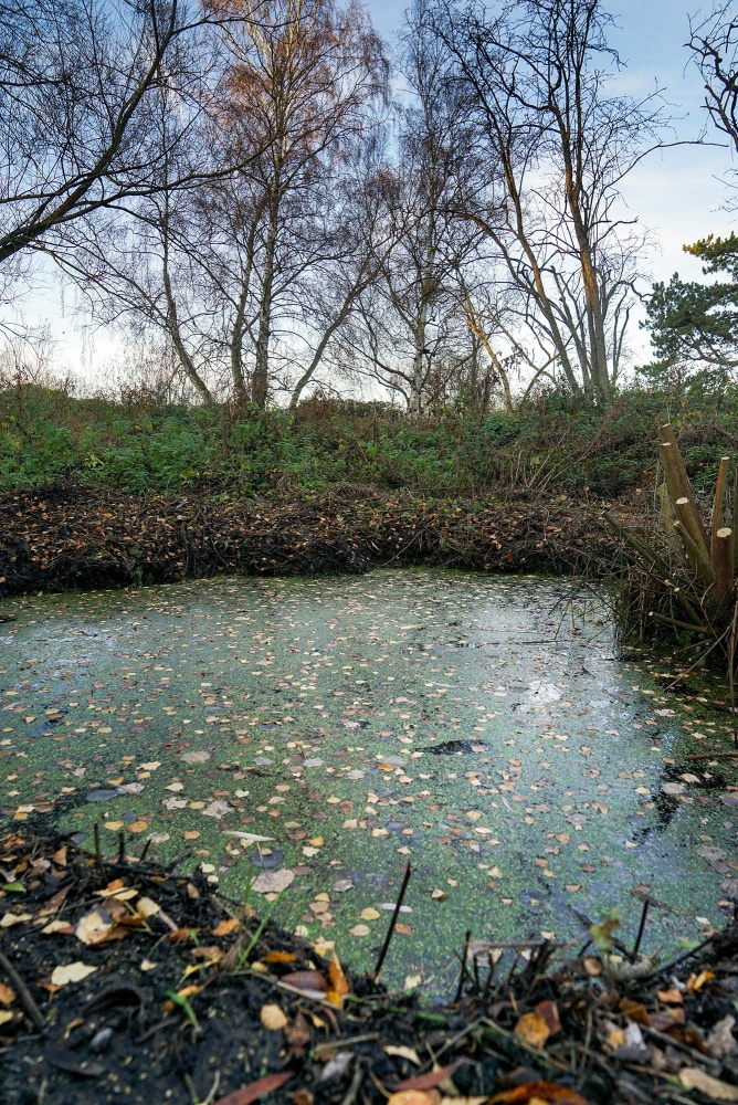 kps architects elvaston castle