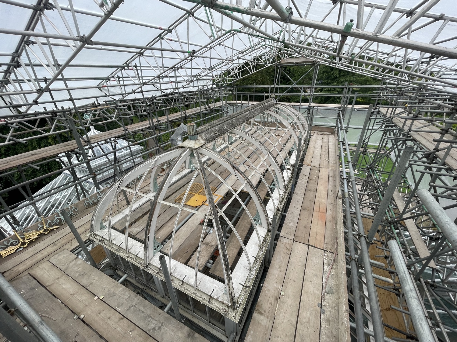 Alexandra Park Conservatory