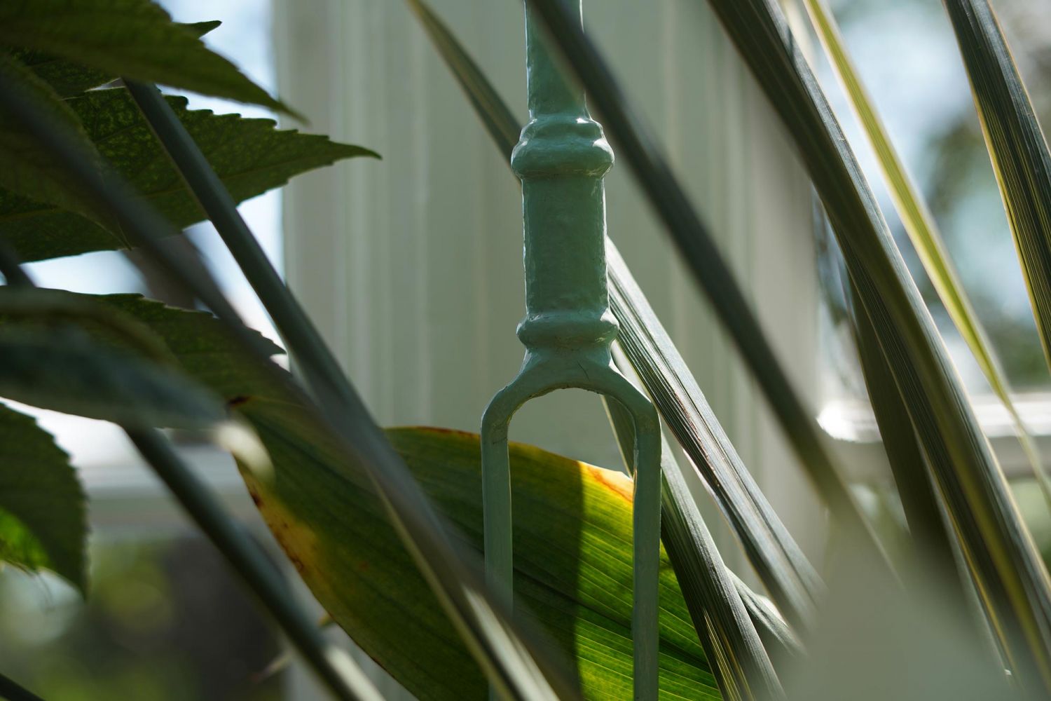 KPS Architects Alexandra Park Conservatory