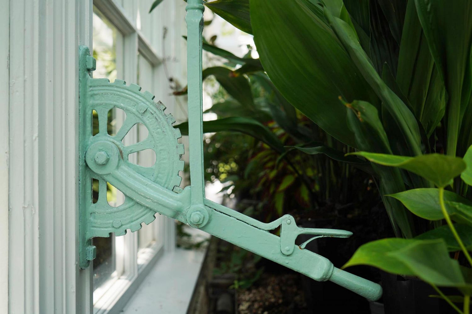 KPS Architects Alexandra Park Conservatory